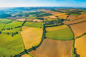 Aerial photo of farmed fields