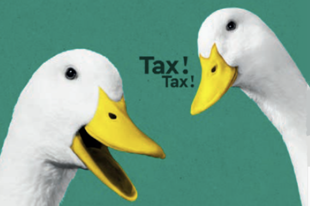 Graphic promoting the HM Revenue & Customs Self Assessment tax return campaign, and showing two ducks and the words 'Tax! Tax!'