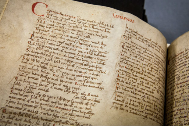 Pages in the Domesday manuscript